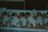 BD/171/880 Zes babies op een rij in ziekenhuis
