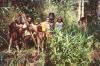 BD/269/960 Groep papoea's in het oerwoud
